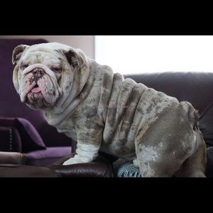 Meet your Posher, Roger